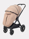 Миниатюра изображения товара Детская универсальная коляска Rant Basic Terra 2 в 1 / RA163 (бежевый)