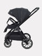 Миниатюра изображения товара Детская универсальная коляска Rant Basic Terra 2 в 1 / RA163 (черный)